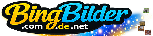 Bingbilder