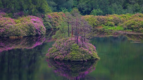 1623362400.jpg