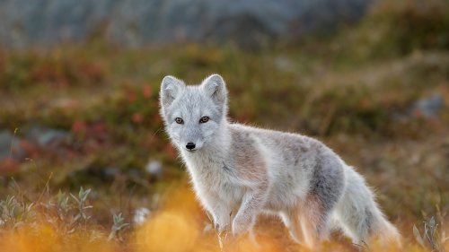 1639609200.jpg